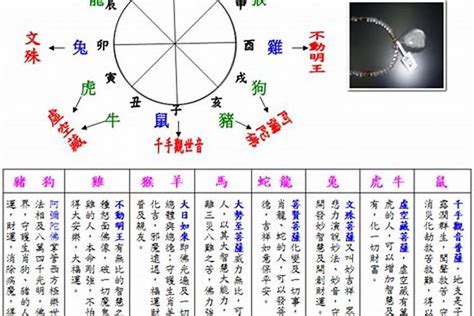 羊五行属什么|属羊在金木水火土五行里属什么